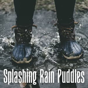Splashing Rain Puddles - Relaxing Chillout Lounge