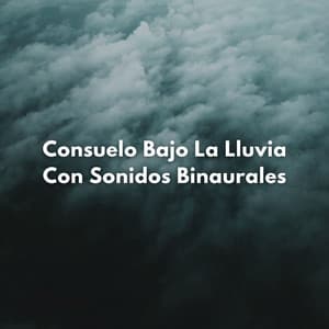 Consuelo Bajo La Lluvia Con Sonidos Binaurales - Latidos Binaurales Puros
