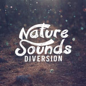 Nature Sounds: Diversion - Sounds of Nature for Deep Sleep and Relaxation