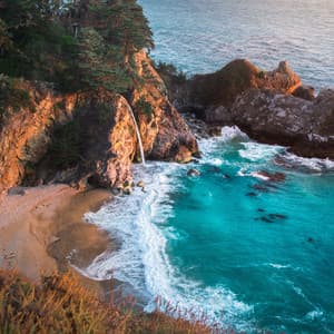 Comforting Sounds | Delightful Serenity - Sounds of Nature Noise