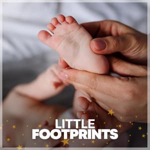 Little Footprints - Music Box Orchestra