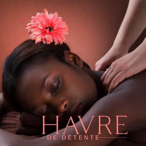 Havre de Détente: Musique relaxante de la nature - Sara Wild