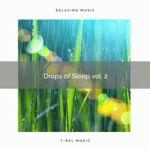 Drops of Sleep vol. 2 - elderflowers