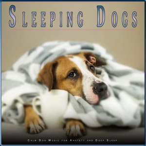 Sleeping Dogs: Calm Dog Music for Anxiety and Deep Sleep - Dog Music