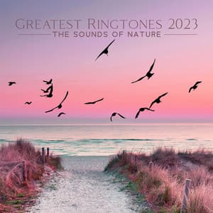 Greatest Ringtones 2023 - The Sounds Of Nature - Romantic Phone Ringtones
