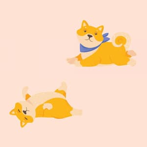 Feelings for Soothing Sleeping Pup - Calma Música para Perros