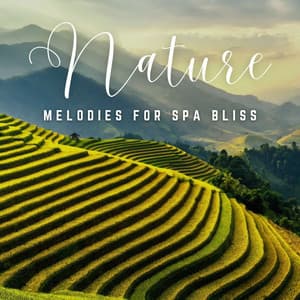 Healing Harmony: Enriching Spa/Massage Melodies - Mindful Audio