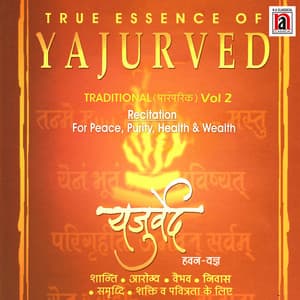 Yajurved Traditonal Recitation Vol 2 - Dr. Brahma Shankar Vyas