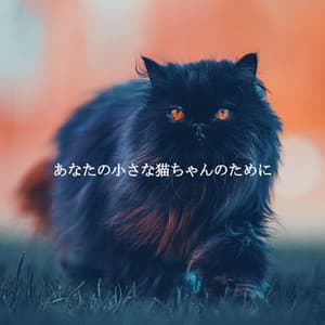 あなたの小さな猫ちゃんのために - Jazz Alegre para Cafés