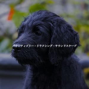 パウジティブリー・リラクシング・サウンドスケープ - Chilled Morning Music