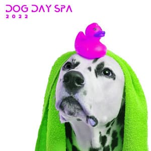 Dog Day Spa 2022 – In Pet Salon, Relaxing Healing Music 4 your Dog, Pet Care Music Therapy - Animal Melody Wizard