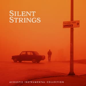 Silent Strings - Acoustic Instrumental Collection