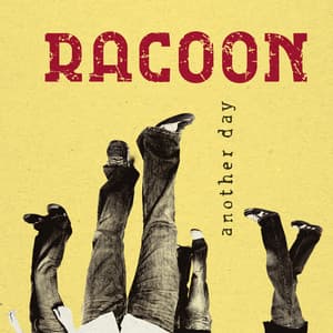 Another Day - Racoon