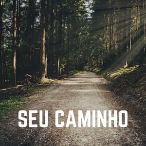 Seu Caminho - Relaxantes Natureza Zona