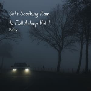 Baby: Soft Soothing Rain to Fall Asleep Vol. 1 - Rain Sound Experience