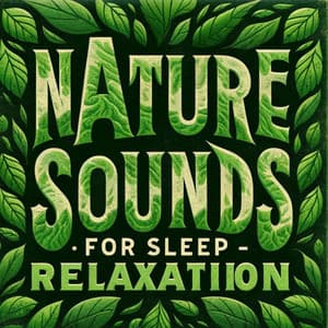 Nature Sounds for Sleep Relaxation - Nature Sounds Artists