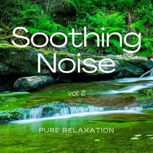 1 Soothing Noise Vol. 2 - Water Effects Center