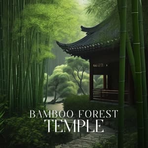 Bamboo Forest Temple: Chinese Tunes for Sleep - Healing Power Natural Sounds Oasis
