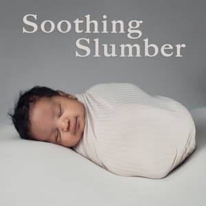 Soothing Slumber - Sleeping Little Lions