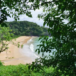 1 Worldly Waterfront: Rising Within - Nature Sound Collection
