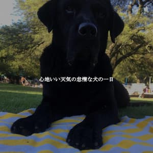 心地いい天気の怠惰な犬の一日 - Hotel Lobby Lounge