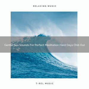 Gentle Sea Sounds For Perfect Meditation Hard Days Chill Out - Timeless Relax