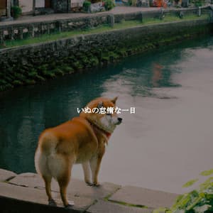 いぬの怠惰な一日 - Soft Jazz Mood