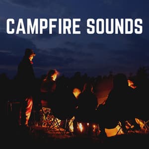 Campfire Sounds - Fire Sounds Sleep