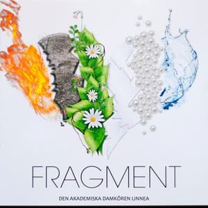Fragment - Den Akademiska Damkören Linnea