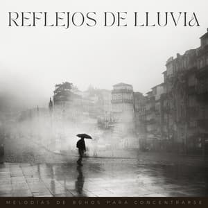 Reflejos De Lluvia: Melodías De Búhos Para Concentrarse - Lloviendo Relajante