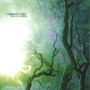 Electric Ladder - Robert Rich