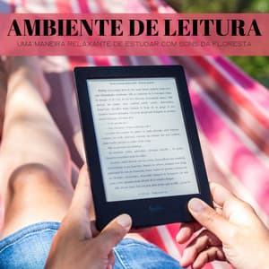 Ambiente De Leitura: Uma Maneira Relaxante De Estudar Com Sons Da Floresta - Música Relax para Bares