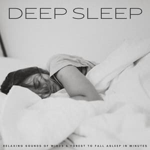 Deep Sleep: Relaxing Sounds Of Winds & Forest To Fall Asleep In Minutes - Sleep & Dream Music Academy