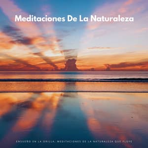 Ensueño En La Orilla: Meditaciones De La Naturaleza Que Fluye - Fuerza Positiva