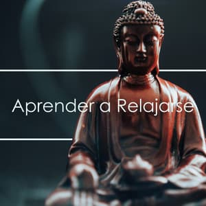 Aprender a Relajarse: Música para Iniciarse en el Mundo de la Meditación, Relajación y Yoga - Lucia Guiada