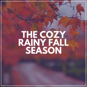 The Cozy Rainy Fall Season - Rain Drops for Sleep