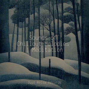 Sounds of Chillout Melodies | Meditation - Calm Music for Studying