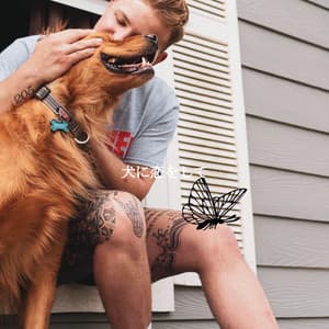 犬に恋をして - Bossa Lounge Deluxe