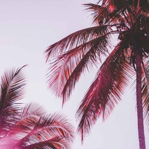 Feelings for Connected Images - Lofi Chill and Study