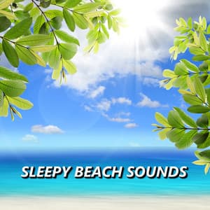 Sleepy Beach Sounds - Sleepy Sounds