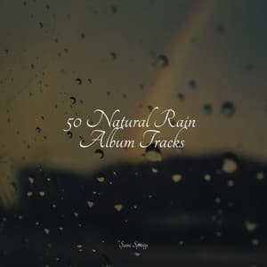 50 Natural Rain Album Tracks - Sound Healing Center