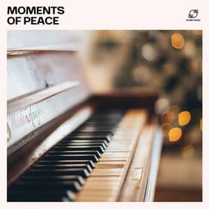 Moments of Peace - Classical Piano Music Masters
