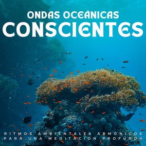 Ondas Oceánicas Conscientes: Ritmos Ambientales Armónicos Para Una Meditación Profunda - Sonidos Oceánicos