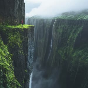 Avifaune Arboricole Sylvaine - Sons de la nature