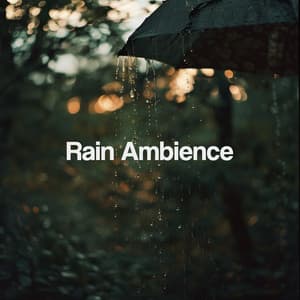 Rain Ambience - Meditation Rain Sounds