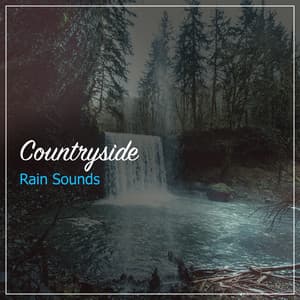 #50 Countryside Rain Sounds to Calm the Mind - Pro Sounds of Nature