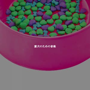 愛犬のための音楽 - Morning Bossanova Playlist