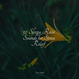 50 Sleepy Rain Sounds for Stress Relief - Happy Baby Lullaby Collection
