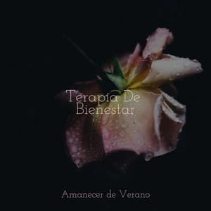 Terapia De Bienestar - Sonido de lluvia