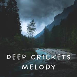 Deep Crickets Melody - Yoga Music Spa